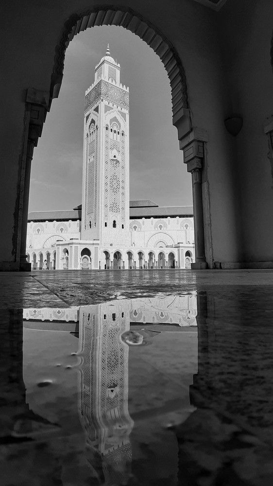 Photograph by esti lahat