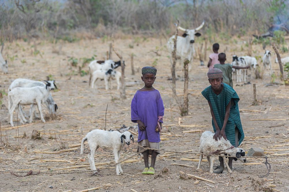 Photograph by Марина Маликова