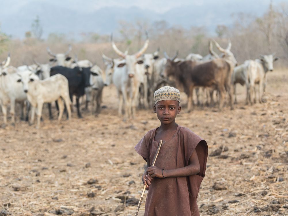 Photograph by Марина Маликова