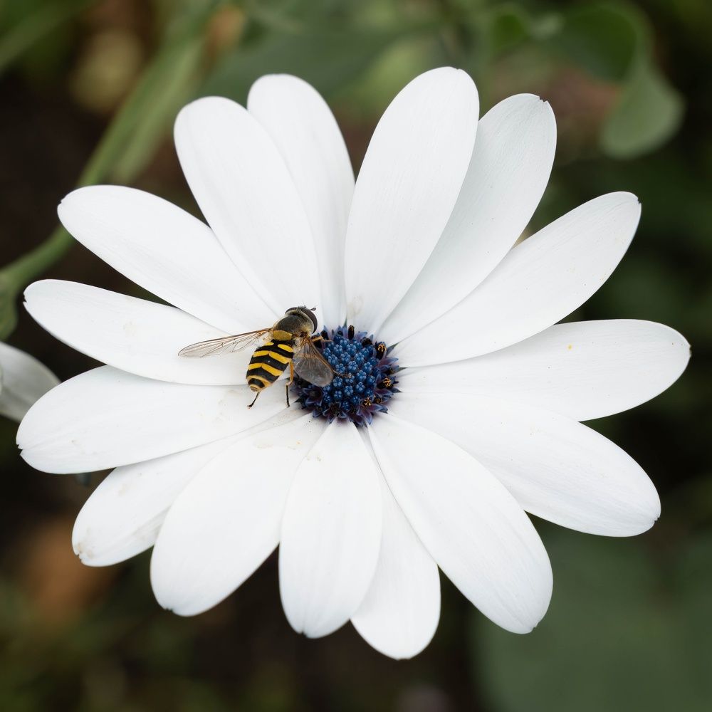 Photograph by Игорь Иванов