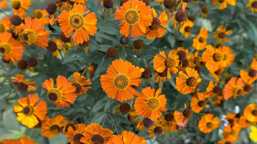 Photograph by Игорь Иванов