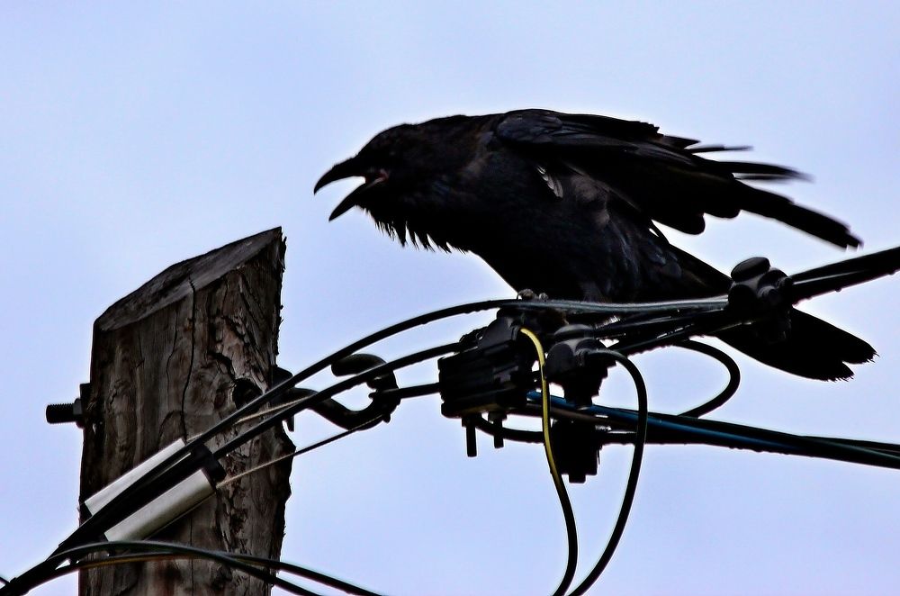 Photograph by Александр Велигура