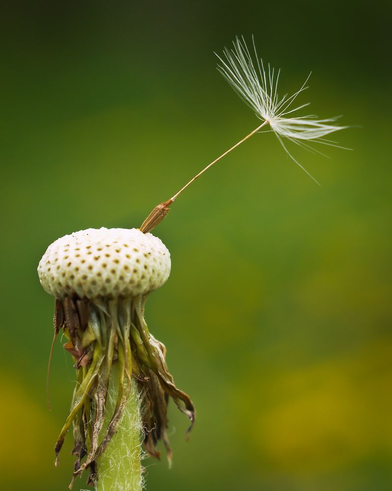 Photograph by Agita Leimane