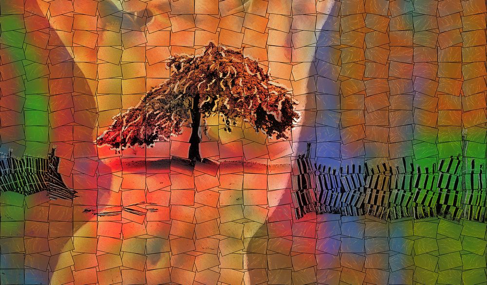 Photograph by Nesrin Ates