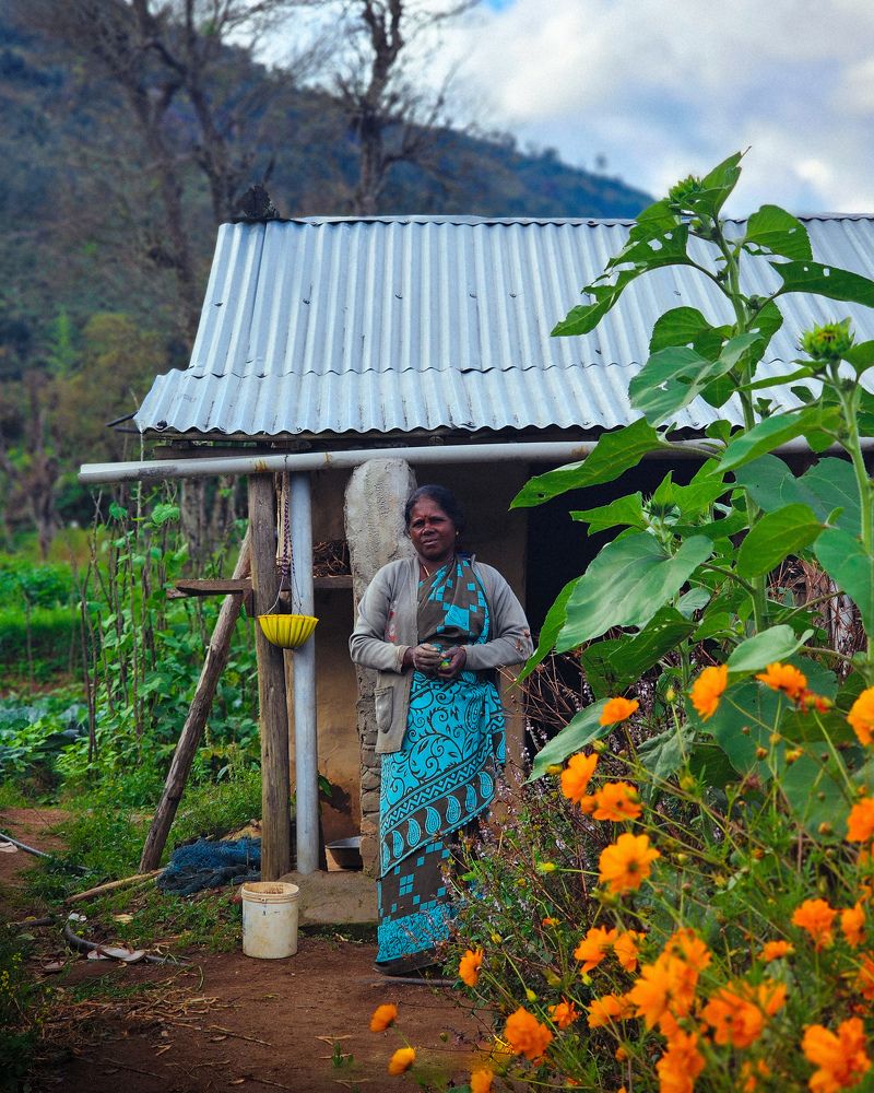 Photograph by Afsal Muhammed