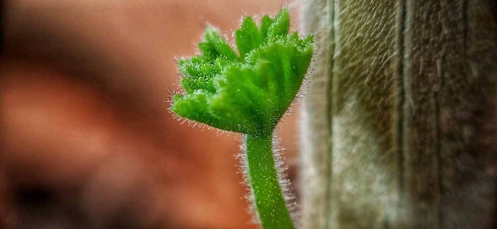 Фотография автора Mahdi Mohammadi