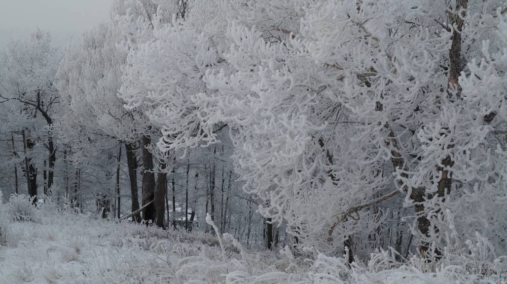 Photograph by Иван Кирилков