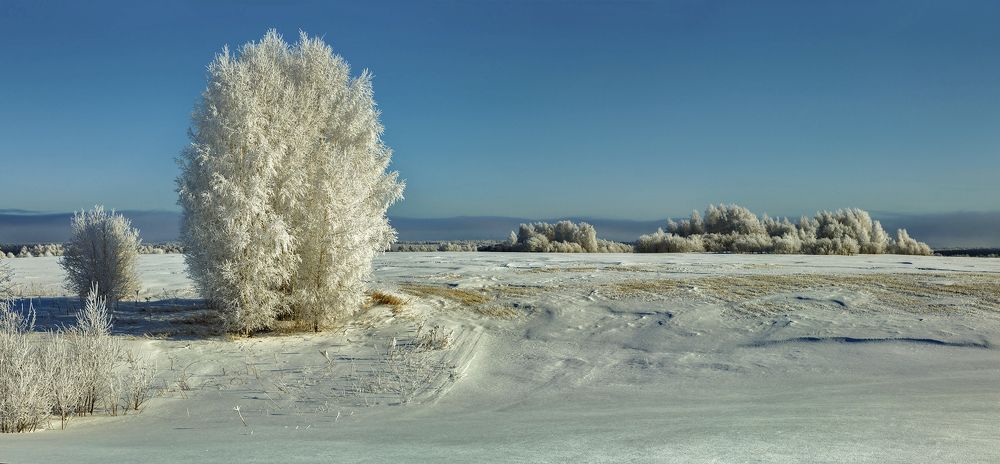 Photograph by Алексей Хахлов