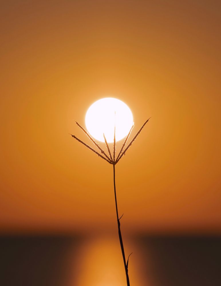 Photograph by Лия Яковлева