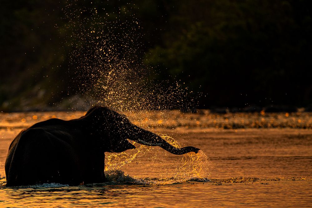 Photograph by Sangeetha Damodaran