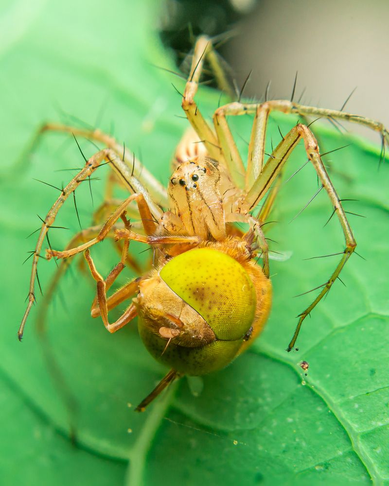 Photograph by Jerian Dale V. Figueroa