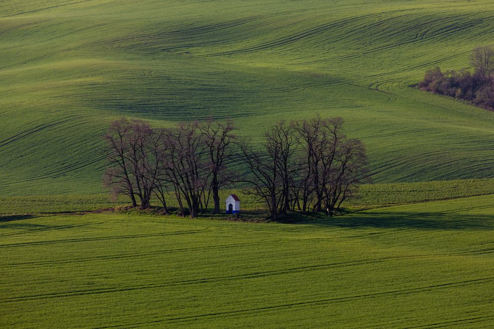 Photograph by Евгения Чех