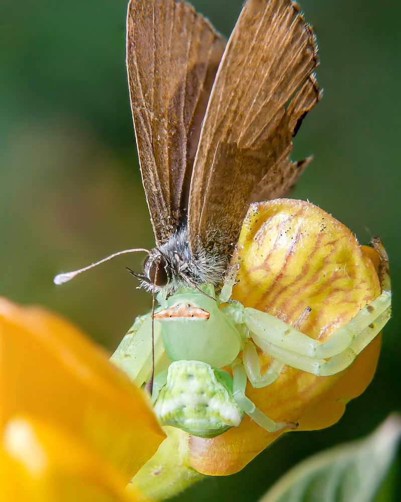 Photograph by Jerian Dale V. Figueroa