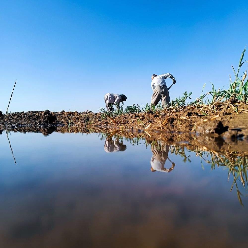 Photograph by Shamal Shakibayi