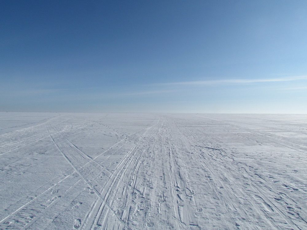 Photograph by Владимир Грибков