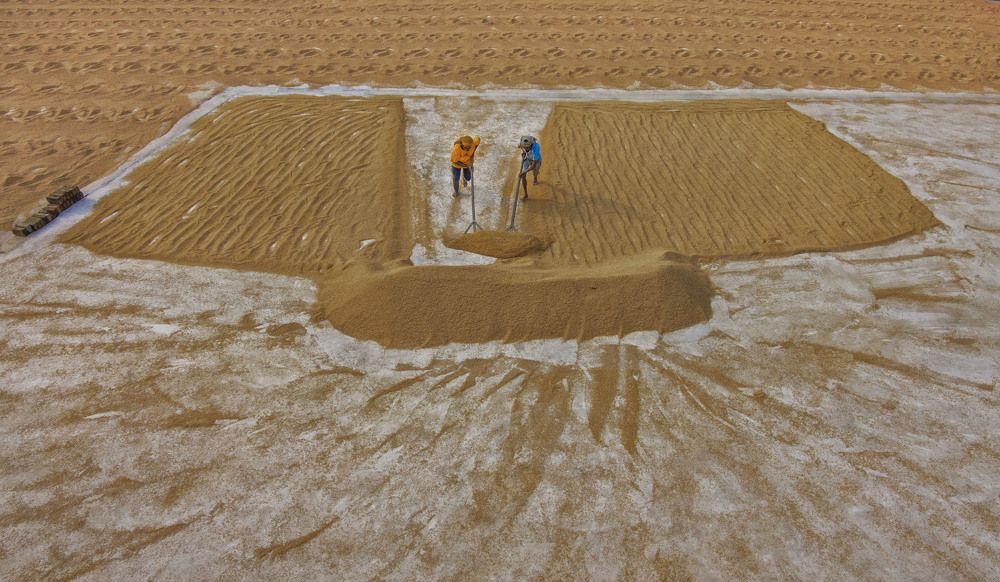 Photograph by Rupa Majumder Bhattacharyya