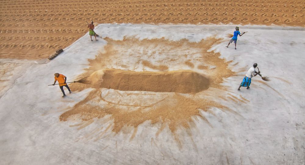 Photograph by Rupa Majumder Bhattacharyya