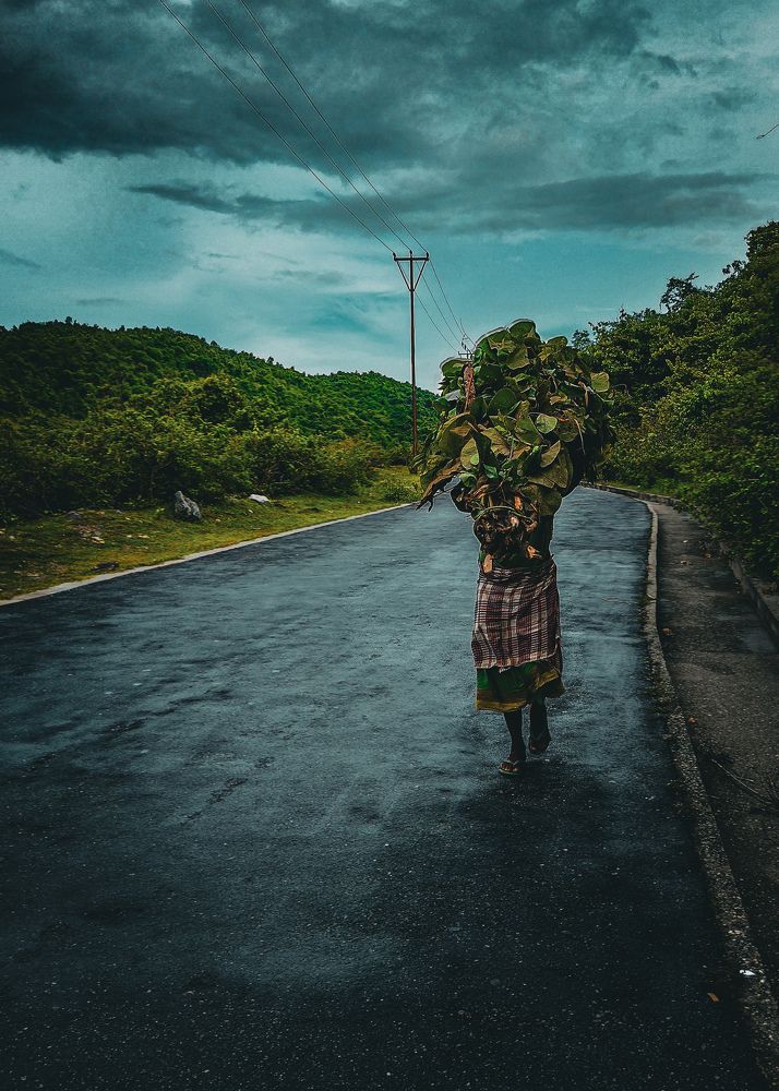 Фотография автора SK Shahbaj Ahmed