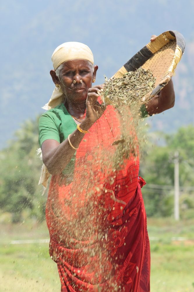 Photograph by Sudhakaran K K