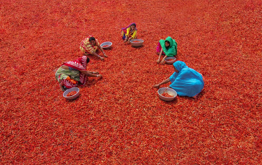 Photograph by Rupa Majumder Bhattacharyya