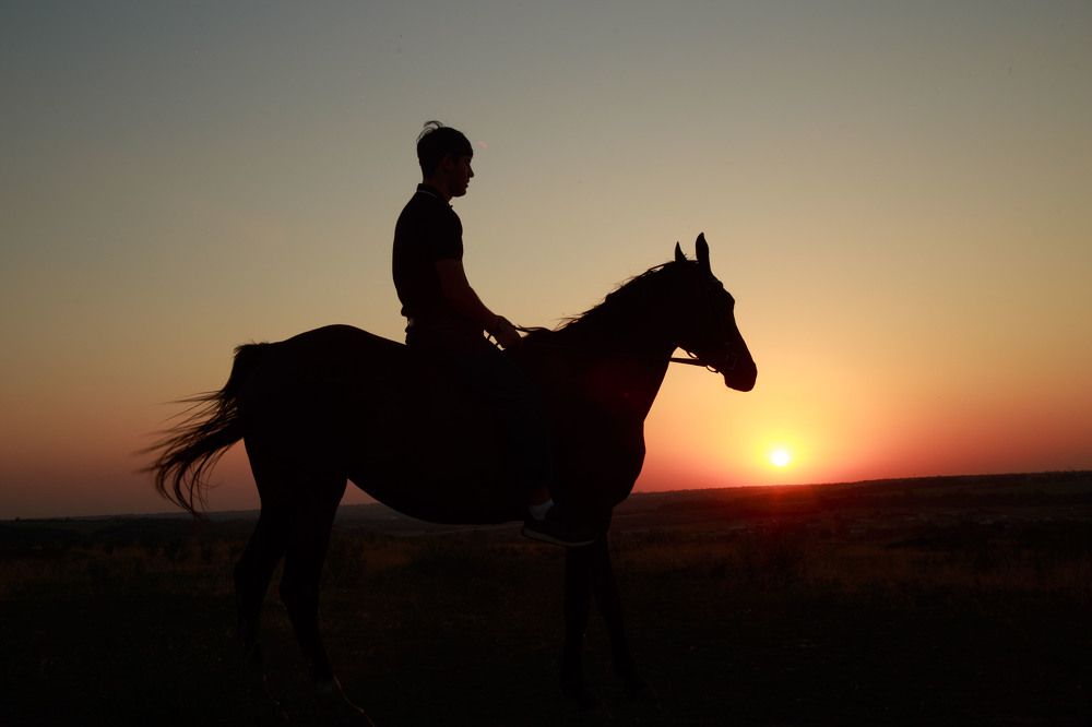 Photograph by Нелли