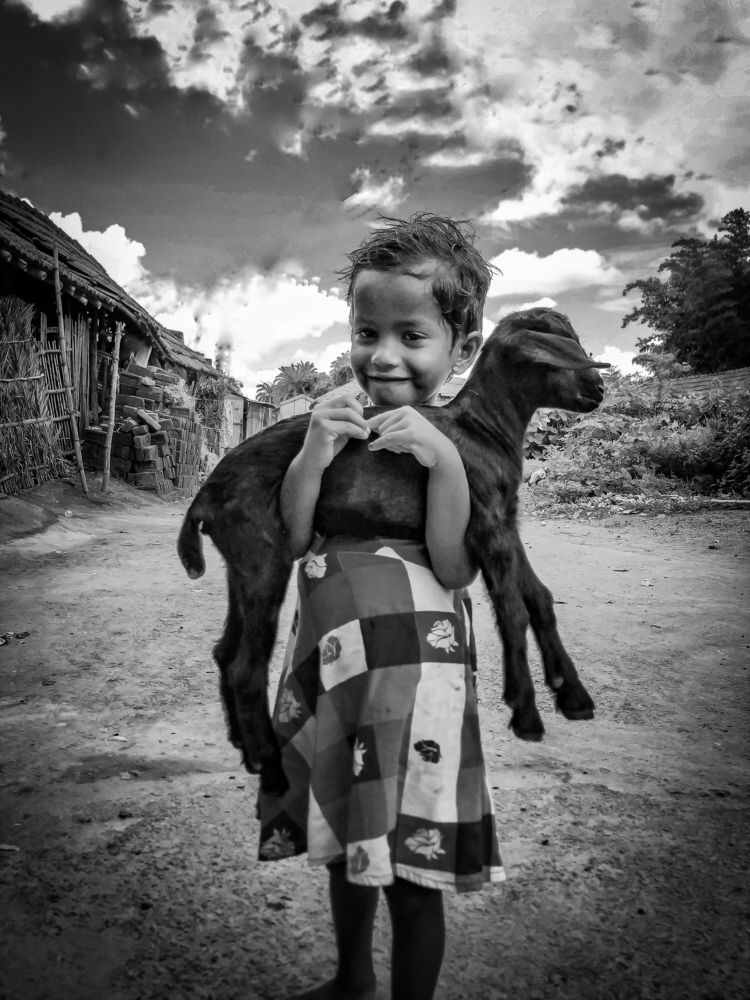 Фотография автора SK Shahbaj Ahmed