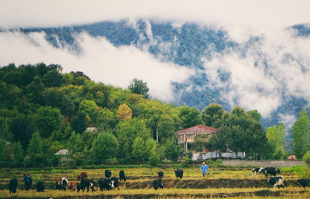 Photograph by Elahe Alizade