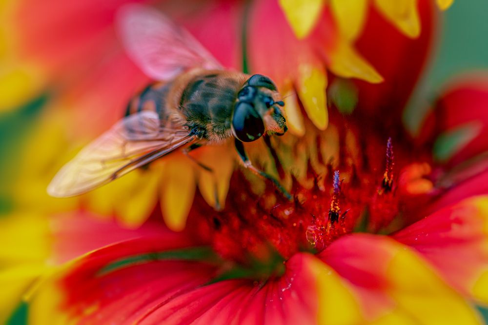 Photograph by Виктор Холодов