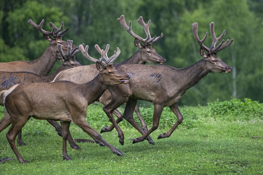 Photograph by Евгений Санин