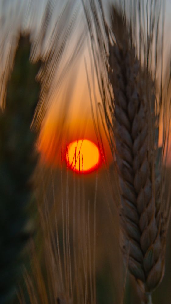 Photograph by Евгений Калагаев