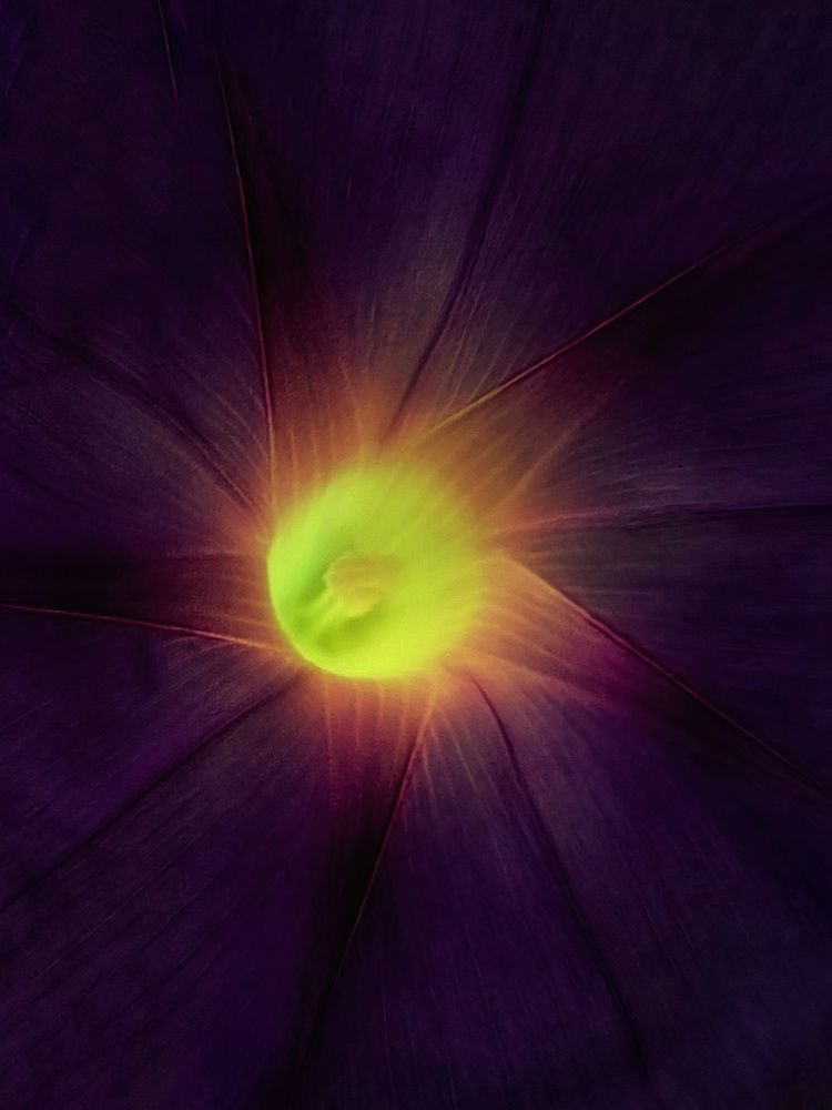 Photograph by Наталия Дроздова