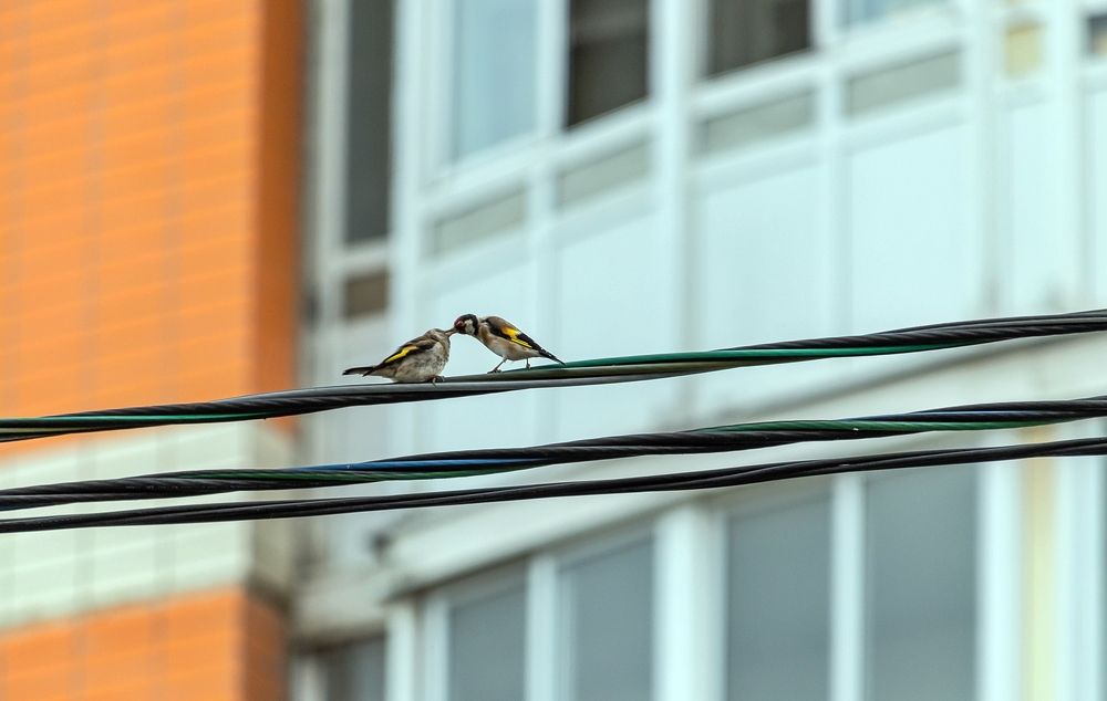 Photograph by Valery Kleymenov