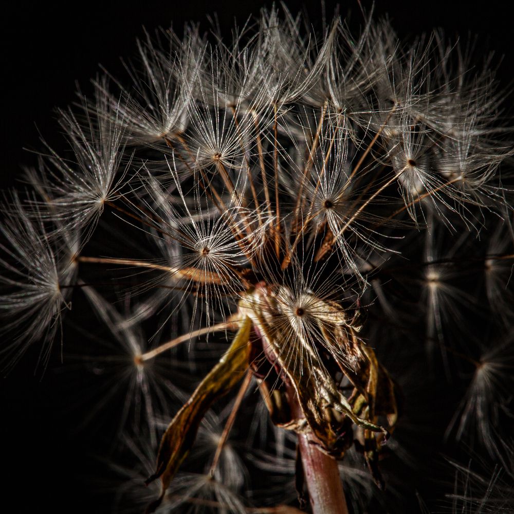 Photograph by Виктор Холодов