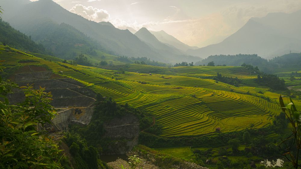 Фотография автора An Nguyen Quoc