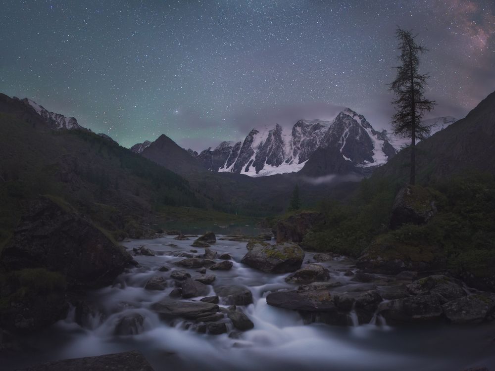 Спящая Красавица, Мечта и Сказка