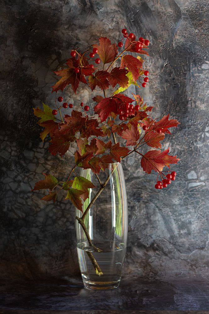 Photograph by Наталия Колтакова