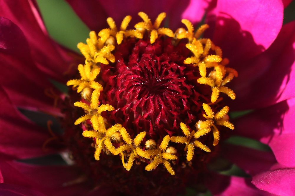 Photograph by Першин Виталий