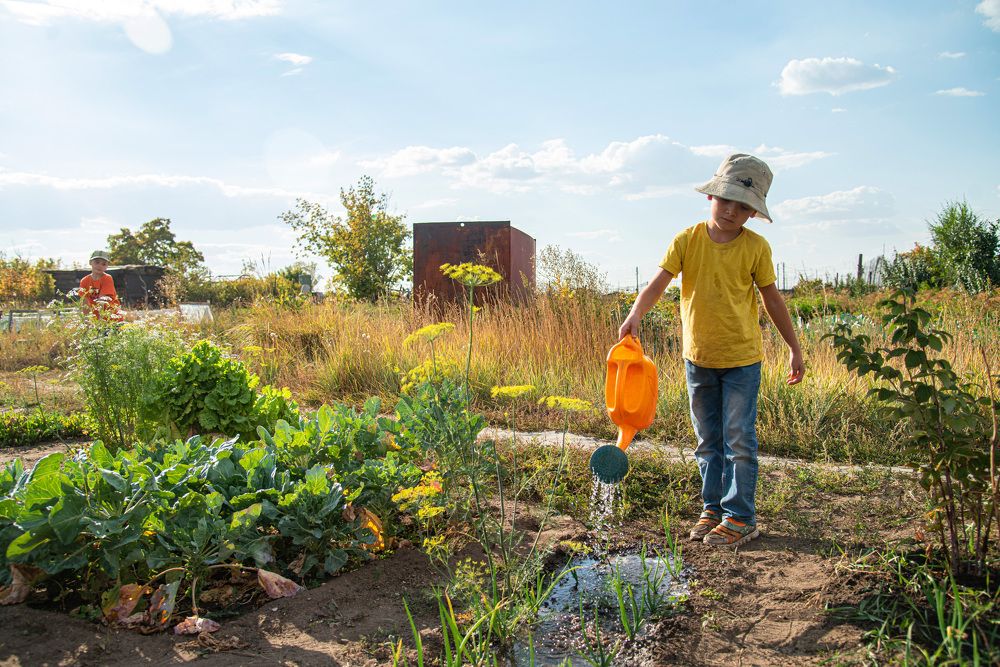 Photograph by Светлана Кудеринова