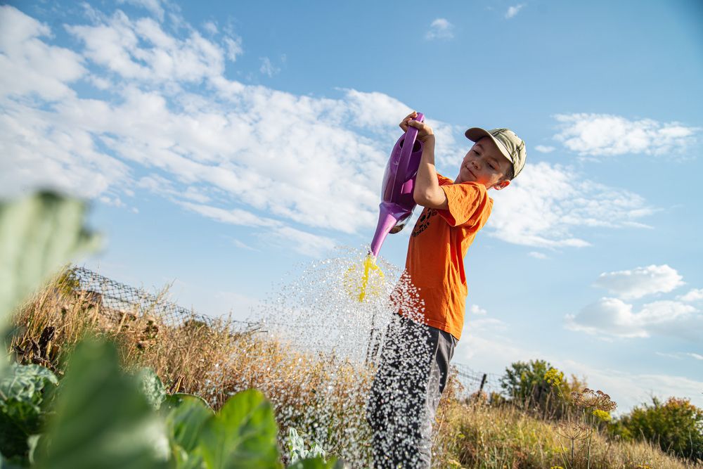 Photograph by Светлана Кудеринова