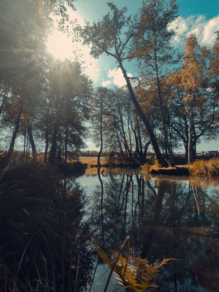 Photograph by Михаил Бородкин