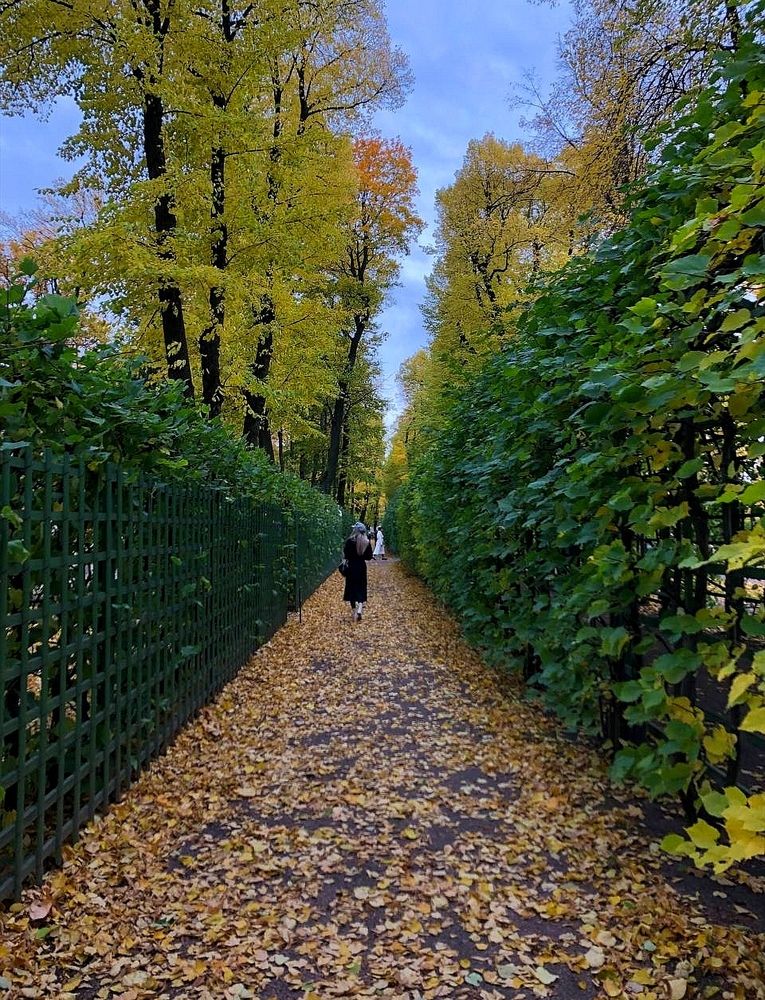 Photograph by Эрика Чечерина