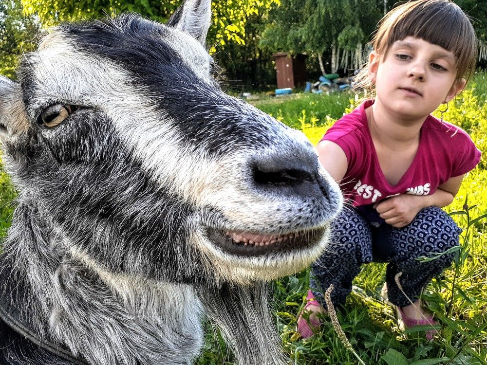 Фотография автора Любовь Кочеткова