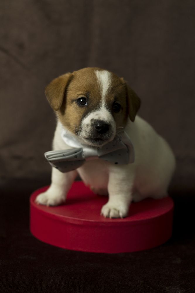 Photograph by Ирина Ганина