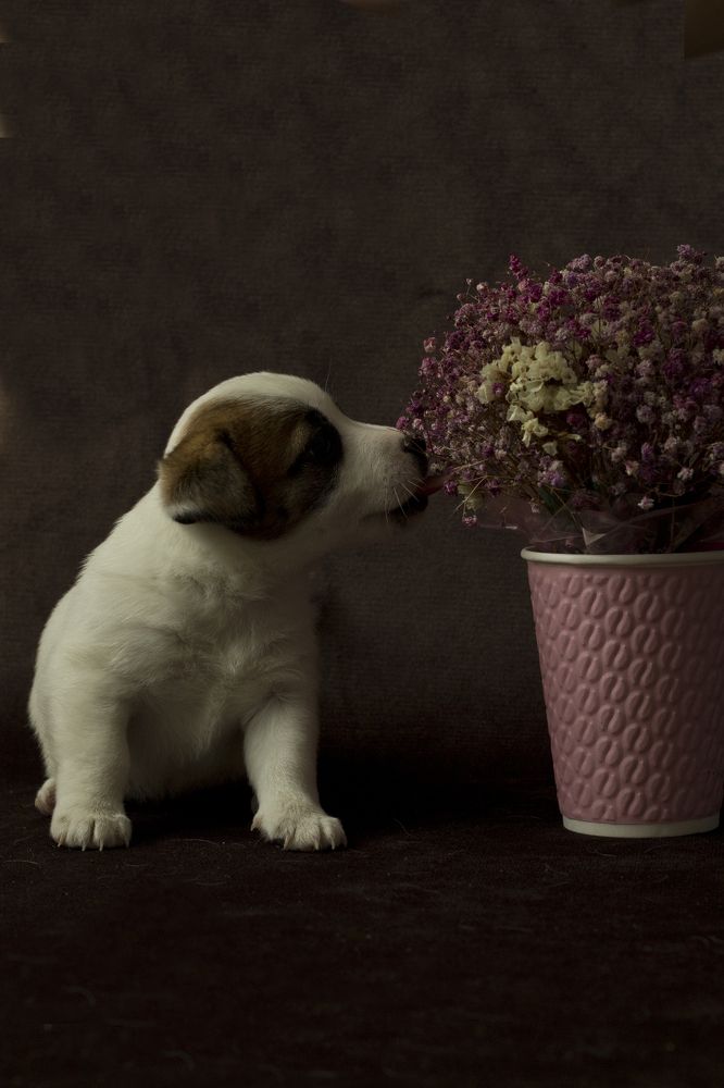 Photograph by Ирина Ганина