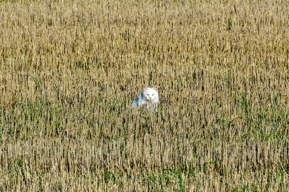 Photograph by Надежда Мякинина