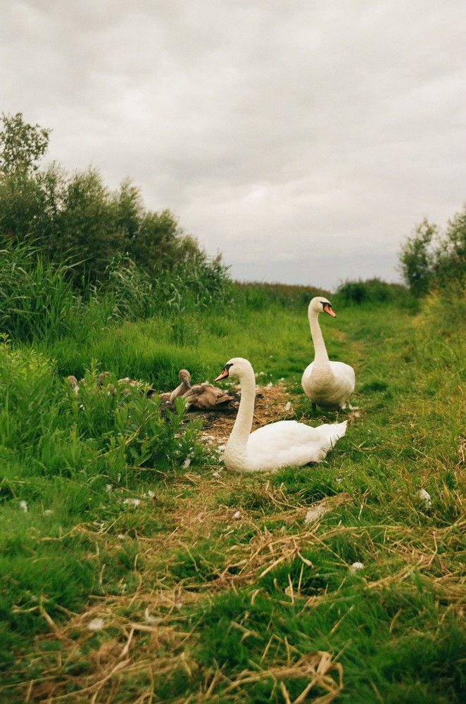 Photograph by Василий Селиванов