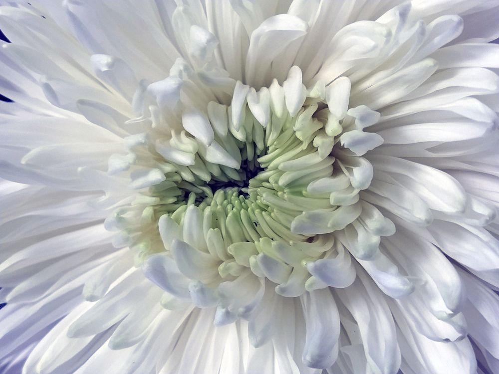 Photograph by Ольга Стоун