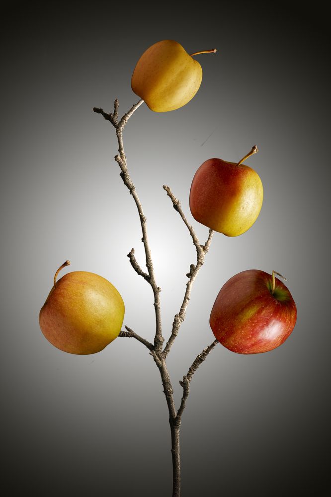 Photograph by Aleksandr Belov