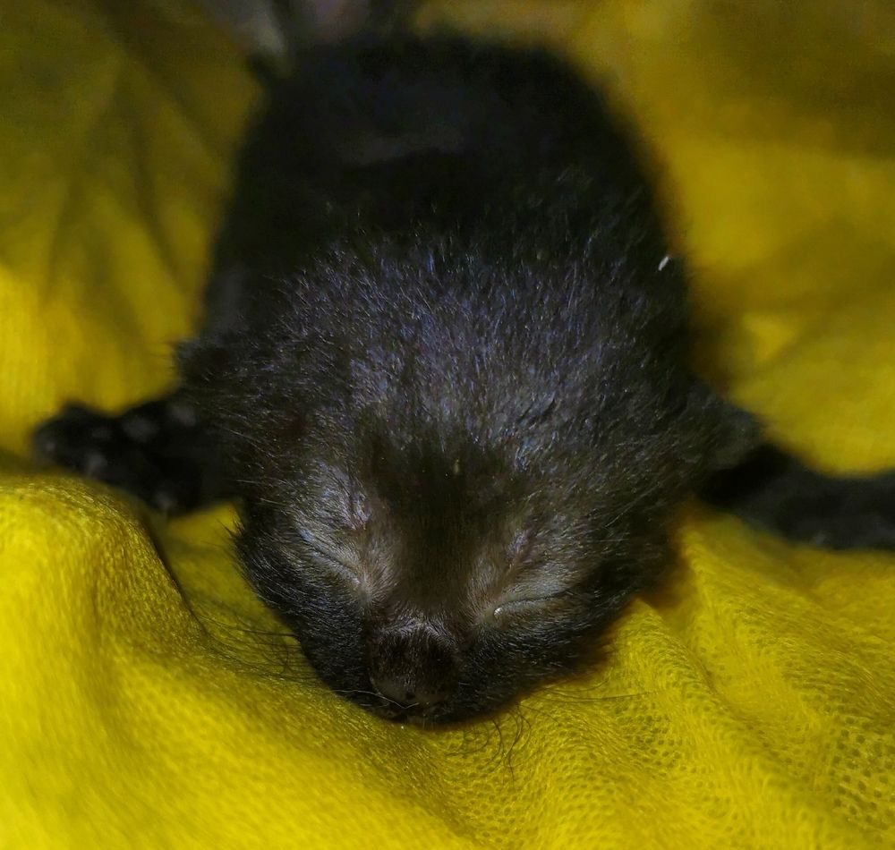 Photograph by Nikolett Mengyi