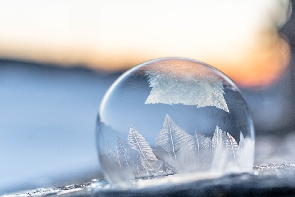 Photograph by Людмила Прибылова